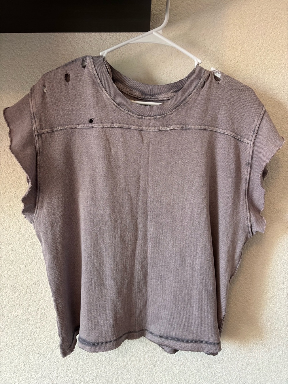 We The Free Washed Lavender Boxy Distressed Top